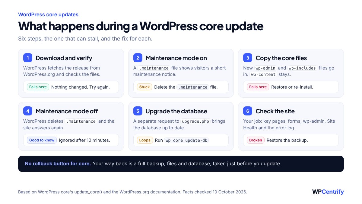 Diagram of the six steps of a WordPress core update: download and verify, maintenance mode on, copy the core files, maintenance mode off, upgrade the database and check the site, with the fix for each step that can stall and a note that core has no rollback button, so the way back is a full backup