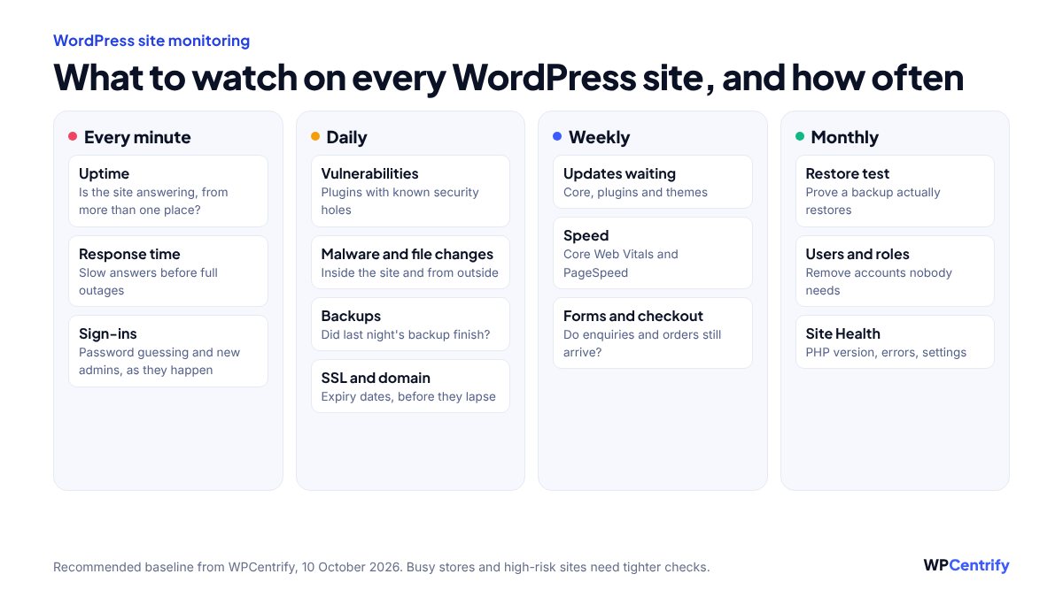 WordPress site monitoring schedule: uptime, response time and sign-ins every minute; vulnerabilities, malware, backups, SSL and domain expiry daily; updates, speed and forms weekly; restore tests, users and Site Health monthly